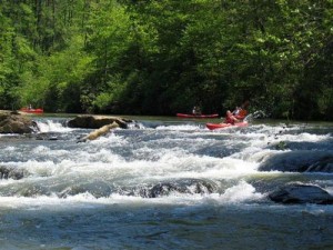 Kayaking in Dahlonega, GA